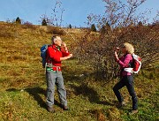 22 Mangerecce e buone le bacche di rosa canina